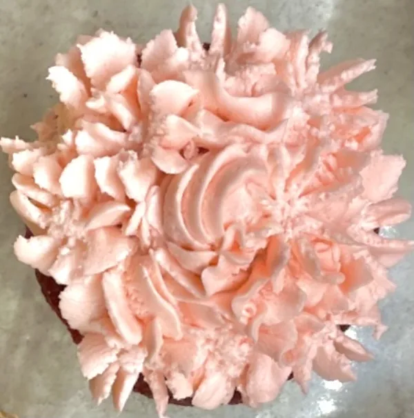 Cupcake Close-Up